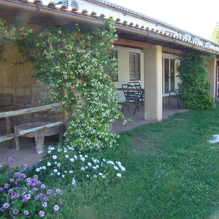 Borgo S.Maria Di Vulci Guest House Montalto di Castro Exterior photo