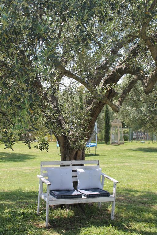 Borgo S.Maria Di Vulci Guest House Montalto di Castro Exterior photo