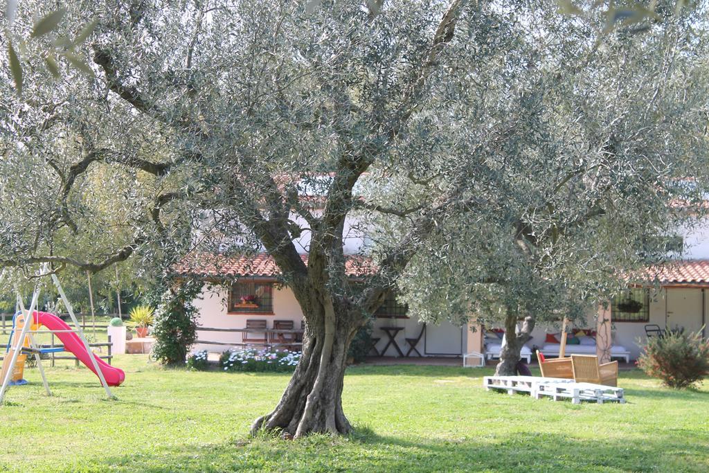 Borgo S.Maria Di Vulci Guest House Montalto di Castro Exterior photo