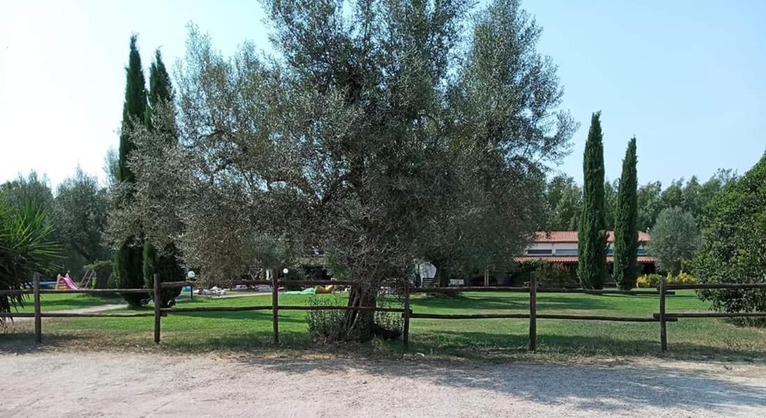 Borgo S.Maria Di Vulci Guest House Montalto di Castro Exterior photo